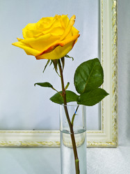 Similar image 1069227