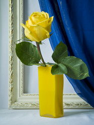 Similar image 1069229