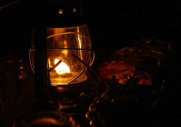 Similar image 1069302