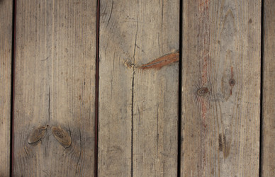 Similar image 1069331