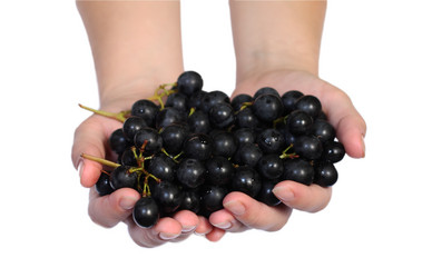 Similar image 1069355