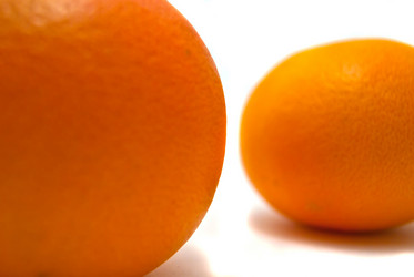 Similar image 1069393