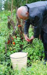 Similar image 1069529