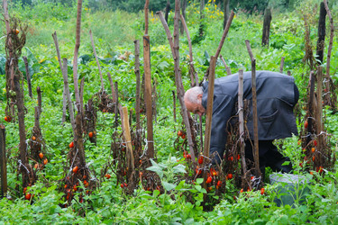 Similar image 1069533