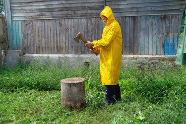 Similar image 1069548