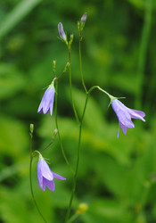 Similar image 1069588