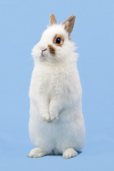 Similar image 1069646