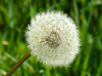 Similar image 1069943