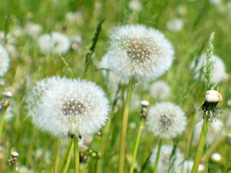 Similar image 1069944