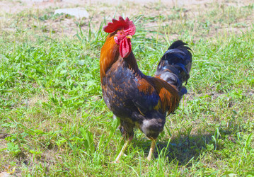 Similar image 1069983