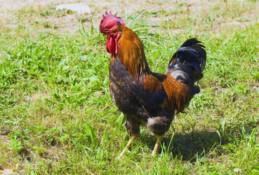 Similar image 1069987