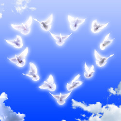 Similar image 1070013