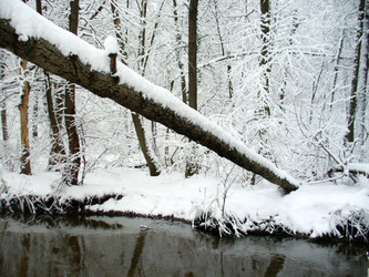 Similar image 1070027