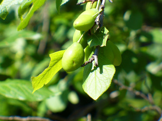 Similar image 1070030