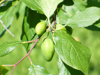 Similar image 1070029