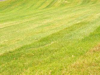 Similar image 1070051