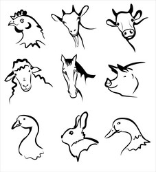 Similar image 1070078