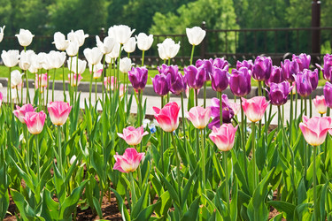 Similar image 1070332