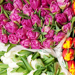 Similar image 1070335