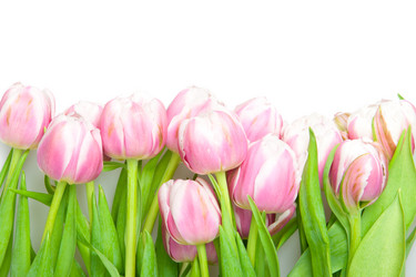 Similar image 1070337