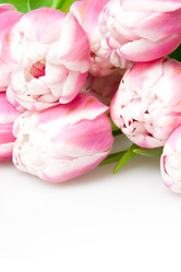 Similar image 1070338