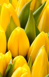 Similar image 1070341