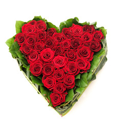 Similar image 1070344