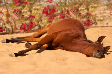 Similar image 1070346