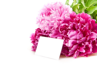 Similar image 1070348