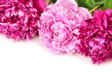 Similar image 1070347