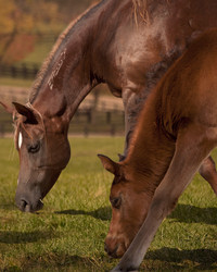 Similar image 1070350