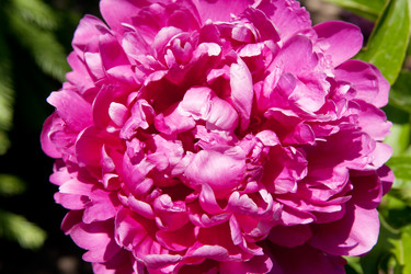 Similar image 1070351