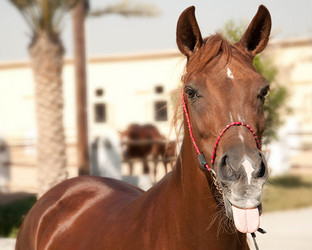 Similar image 1070352