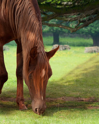 Similar image 1070353