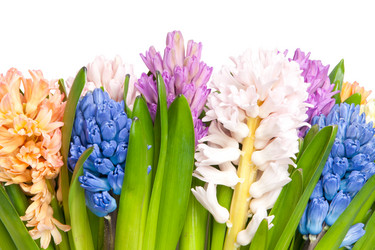 Similar image 1070357