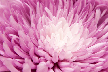 Similar image 1070360