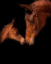 Similar image 1070363