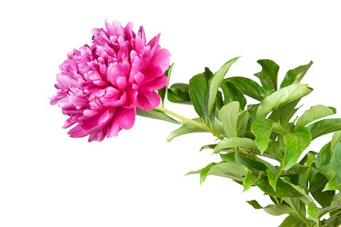 Similar image 1070369