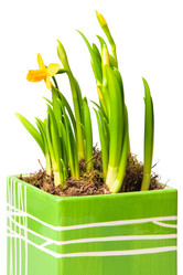 Similar image 1070373