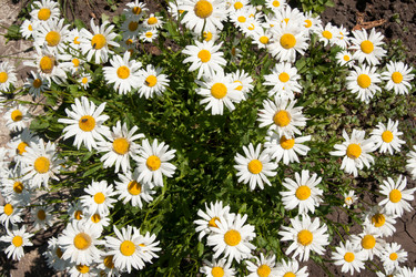 Similar image 1070380