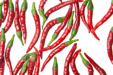 Similar image 1070390