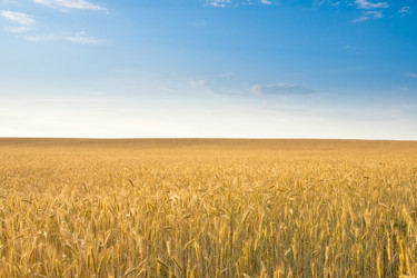 Similar image 1070408