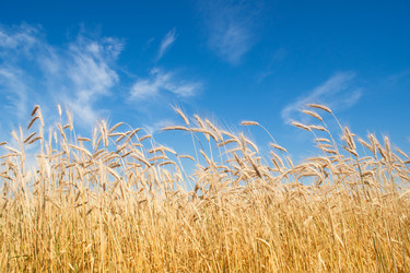 Similar image 1070409