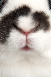 Similar image 1070413