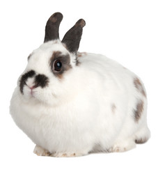 Similar image 1070415