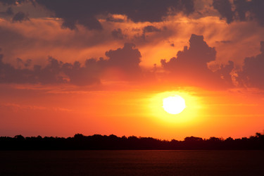 Similar image 1070422