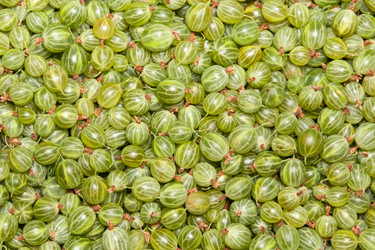 Similar image 1070428