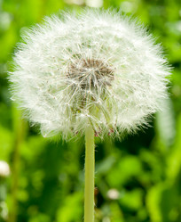 Similar image 1070429