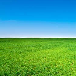 Similar image 1070430