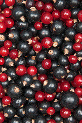 Similar image 1070434